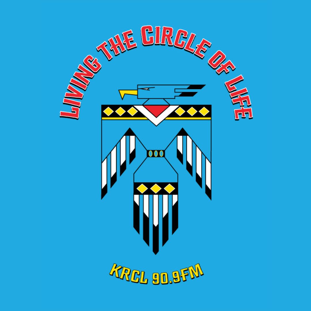 Circle of Life thunderbird turquoise tee
